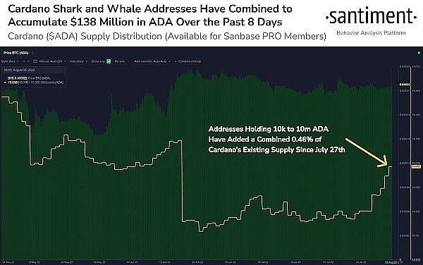 ADA将 XRP 翻转为第六大加密货币、硬分叉带来的大利好<strong></p>
<p>xrp</strong>？