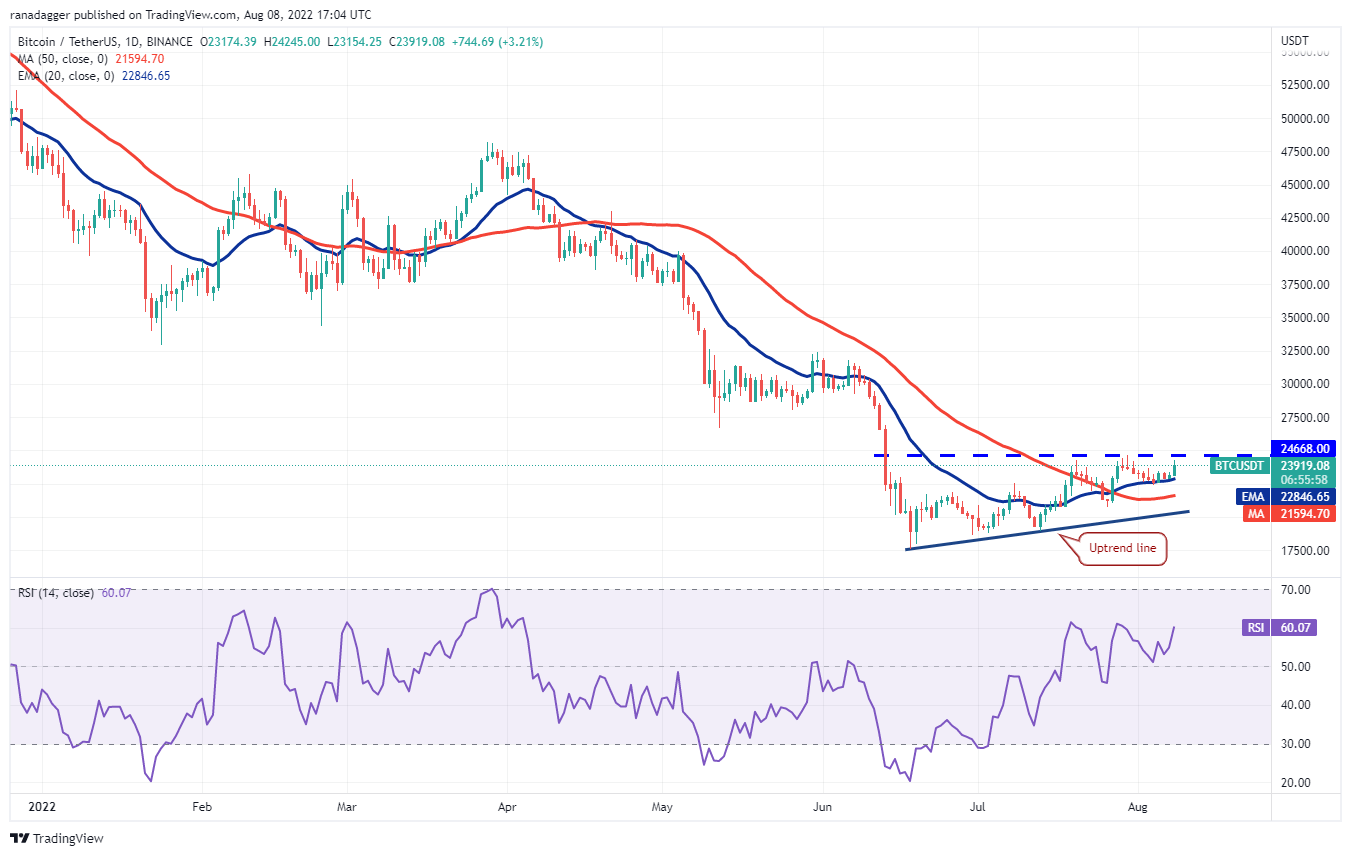 价格分析 8/8：BTC、ETH、BNB、XRP、ADA、SOL、DOGE、DOT、MATIC