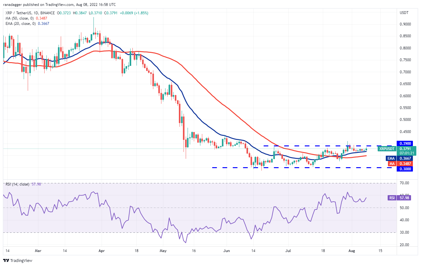 价格分析 8/8：BTC、ETH、BNB、XRP、ADA、SOL、DOGE、DOT、MATIC