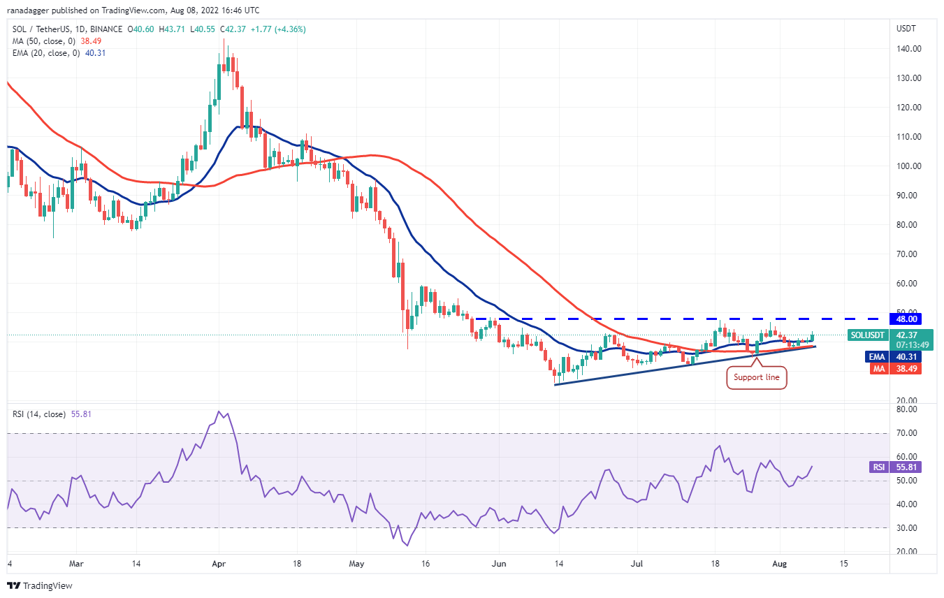 价格分析 8/8：BTC、ETH、BNB、XRP、ADA、SOL、DOGE、DOT、MATIC