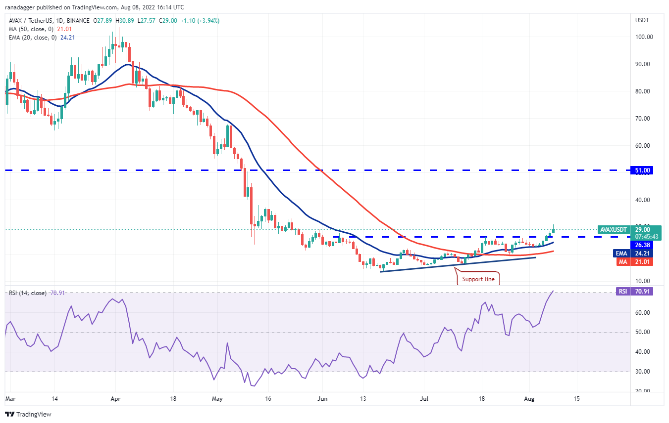 价格分析 8/8：BTC、ETH、BNB、XRP、ADA、SOL、DOGE、DOT、MATIC