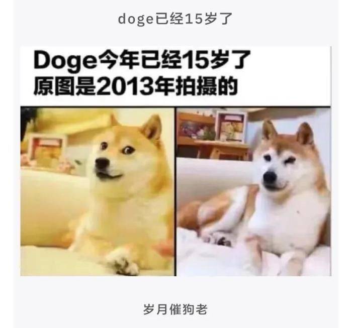 轻松一刻：Doge今年已经15岁了<strong></p>
<p>doge币种</strong>，时间过得真快