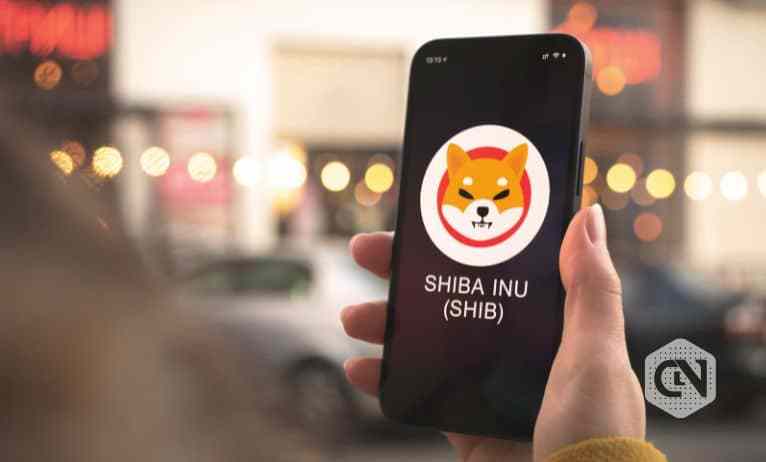 Shiba Inu (SHIB) 从 2022 年 6 月的低点开始大幅上涨<strong></p>
<p>shib币价格今日行情</strong>！