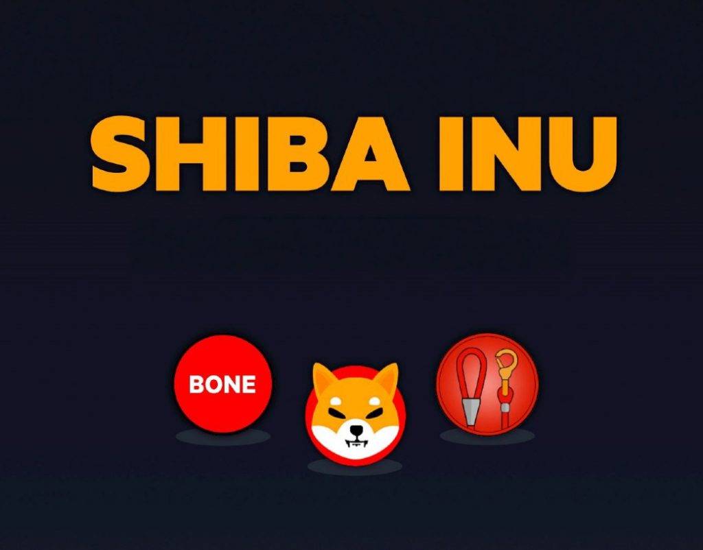 Shiba Inu 的骨头价格翻倍:30 天内从 0.50 美元突破 1 美元