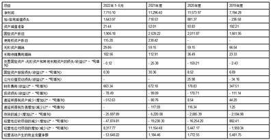 广州鹿山新材料股份有限公司公开发行可转换公司债券募集说明书摘要
