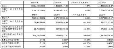 深圳市中洲投资控股股份有限公司2022年度报告摘要