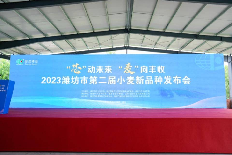 “芯”动未来“麦”向丰收<strong></p>
<p>麦麦理财</strong>，小麦新品种“潍麦13“亮相高密
