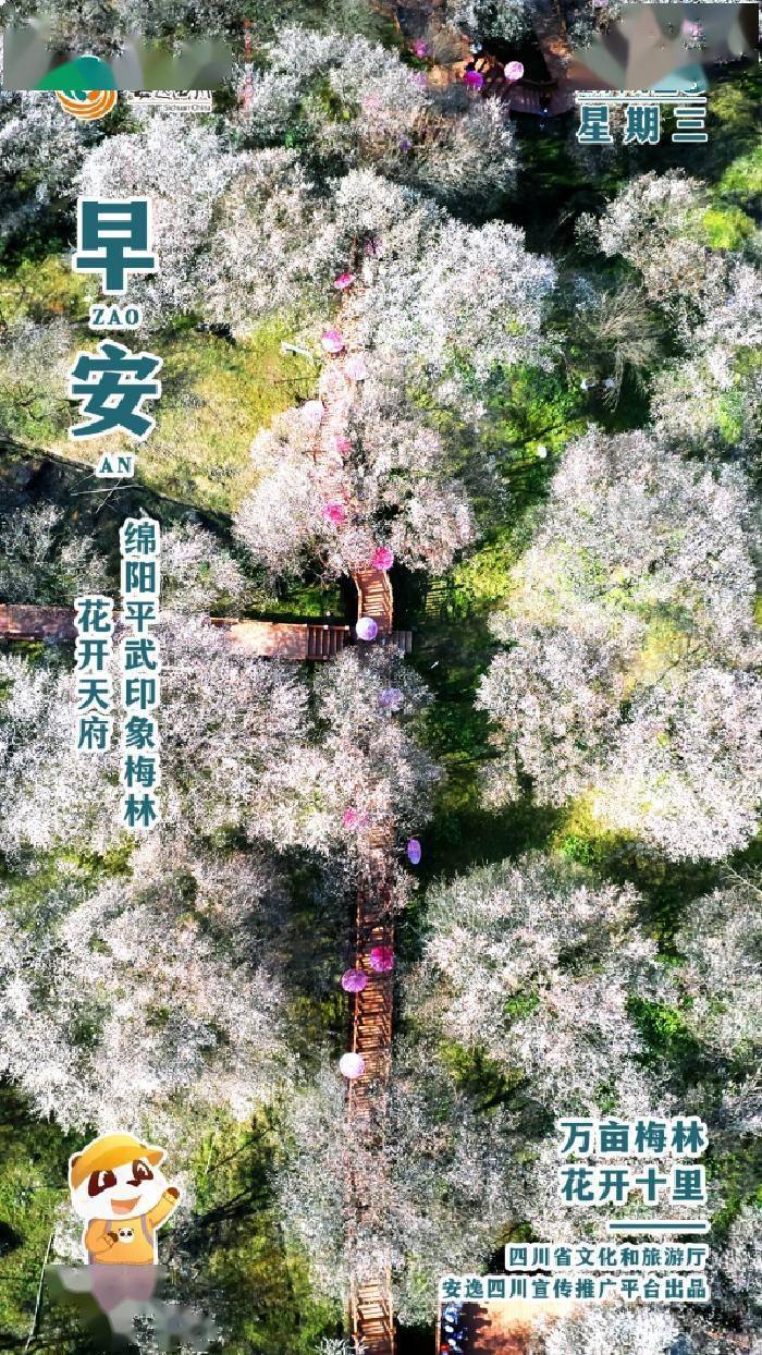 安逸四川日历海报｜万亩梅林<strong></p>
<p>安逸花还款</strong>，花开十里