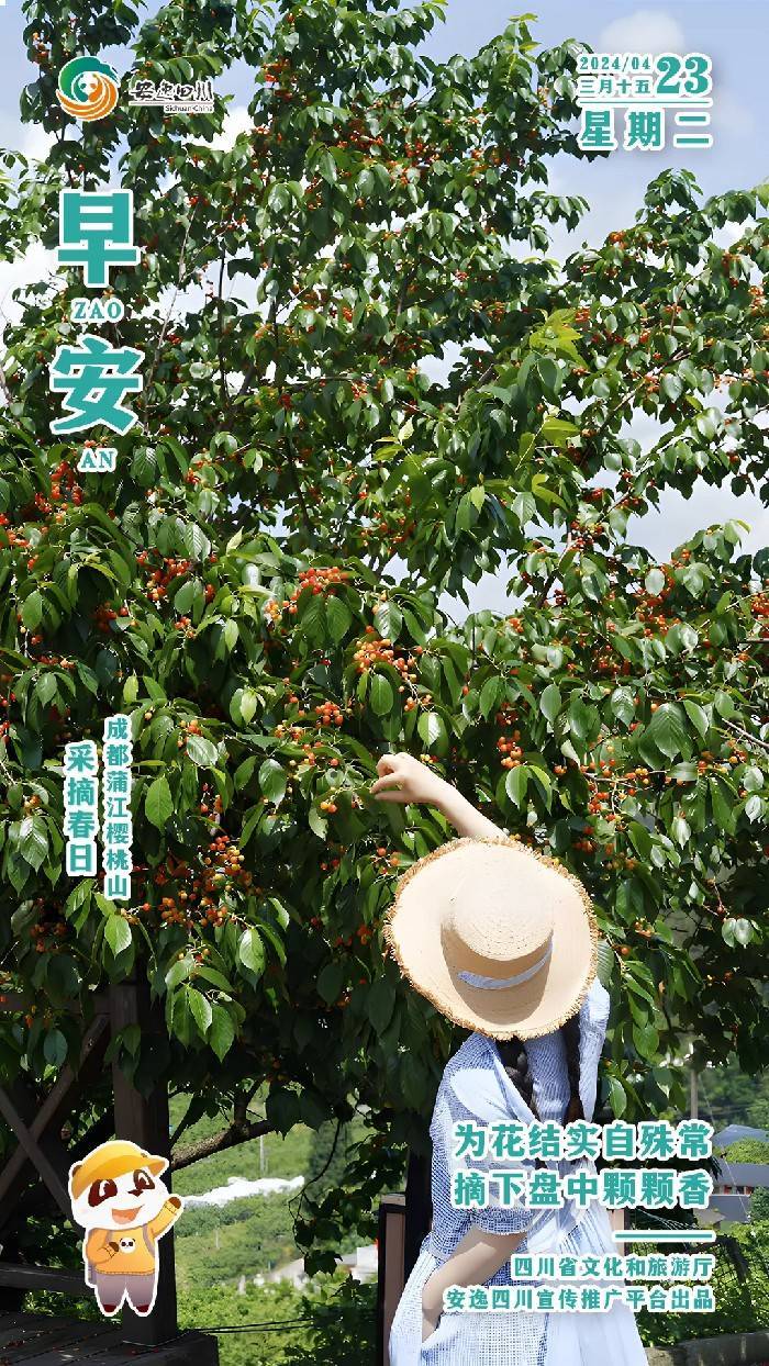 安逸四川日历海报|为花结实自殊常<strong></p>
<p>安逸花</strong>,摘下盘中颗颗香
