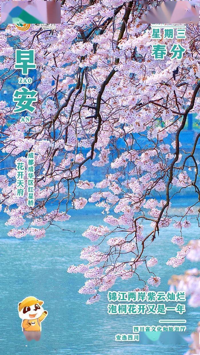 安逸四川日历海报｜锦江两岸紫云灿烂<strong></p>
<p>安逸花</strong>，泡桐花开又是一年