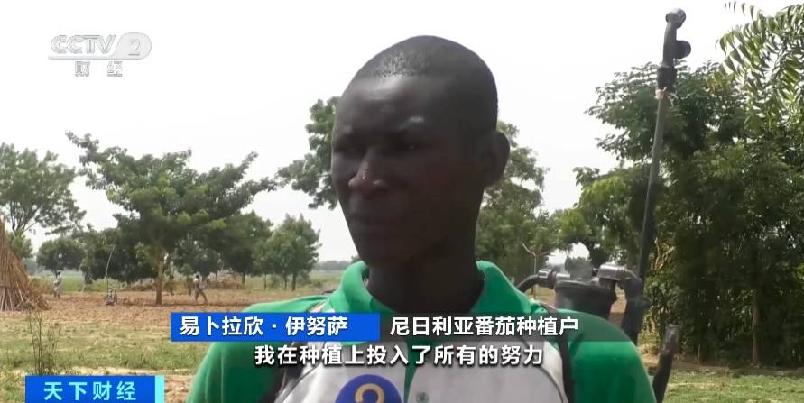 价格飙升20倍<strong></p>
<p>飙升币价格</strong>！虫害侵袭致尼日利亚番茄价格暴涨