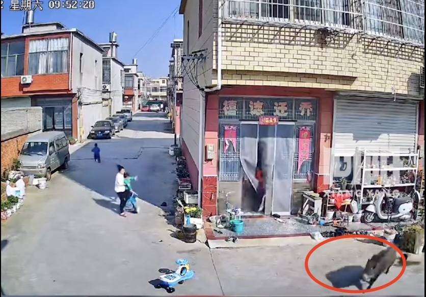 不是上海<strong></p>
<p>币圈数据</strong>!不是上海!不是上海!最新:已被特警击毙