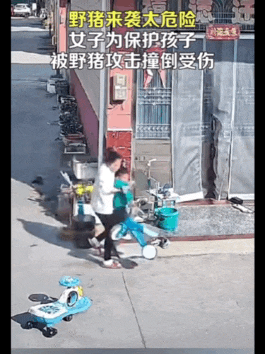 不是上海<strong></p>
<p>币圈数据</strong>!不是上海!不是上海!最新:已被特警击毙