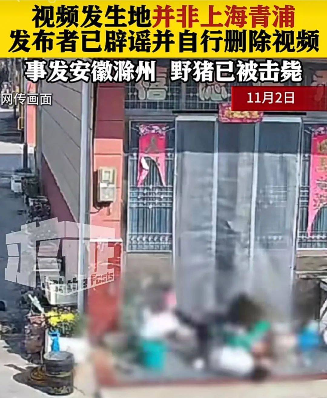 不是上海<strong></p>
<p>币圈数据</strong>!不是上海!不是上海!最新:已被特警击毙