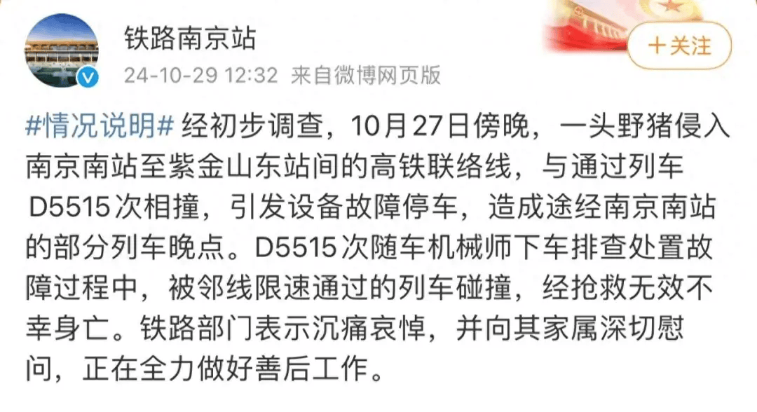 街头横冲直闯<strong></p>
<p>币圈数据</strong>，抱娃女子被撞伤，警方：已被特警击毙