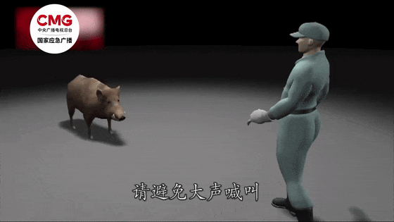 街头横冲直闯<strong></p>
<p>币圈数据</strong>，抱娃女子被撞伤，警方：已被特警击毙