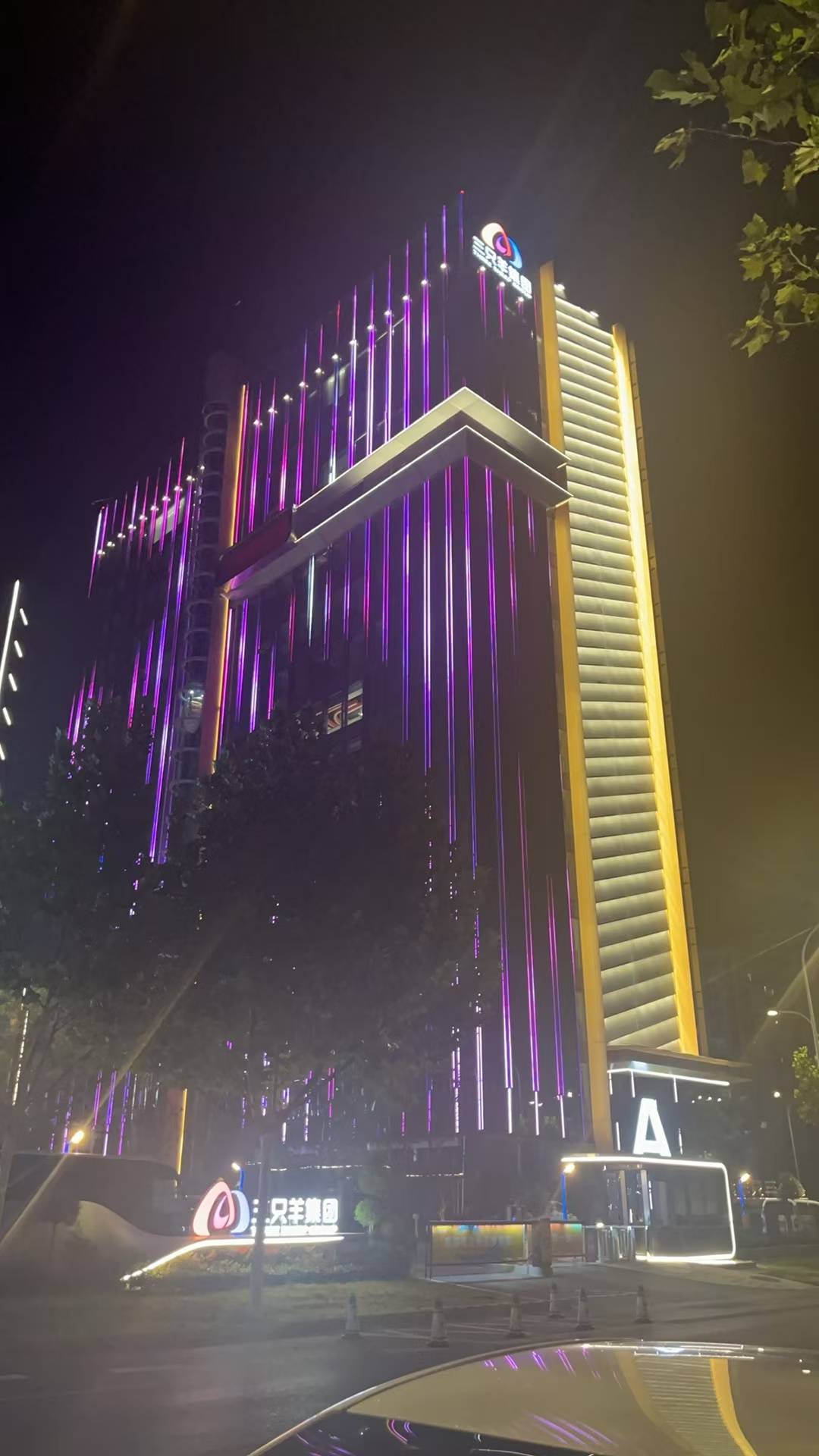 实探三只羊总部：深夜灯火通明<strong></p>
<p>币圈</strong>，门口有主播靠直播园区日常涨粉数十万