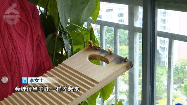 “可以蒸蛋”！昆明一女子家中搓衣板上长菌<strong></p>
<p>残破币兑换</strong>，品种竟是……