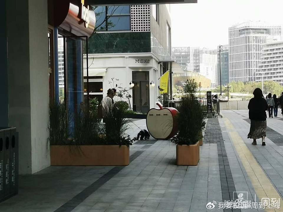 上海现“停狗处”太超前?记者实探:不止一处<strong></p>
<p>残破币兑换</strong>,有人点赞有人忧