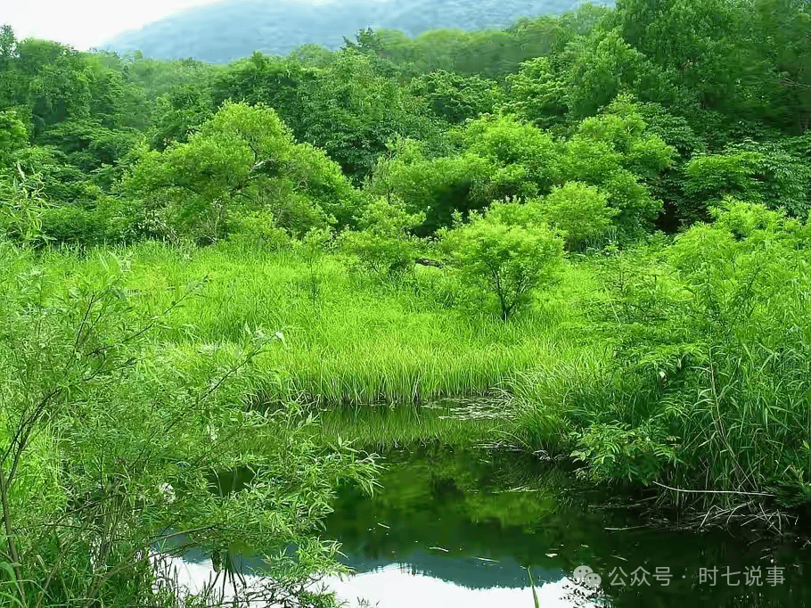 广东珠海驾车撞人事件:35人死亡<strong></p>
<p>币圈电报群</strong>,43人受伤!