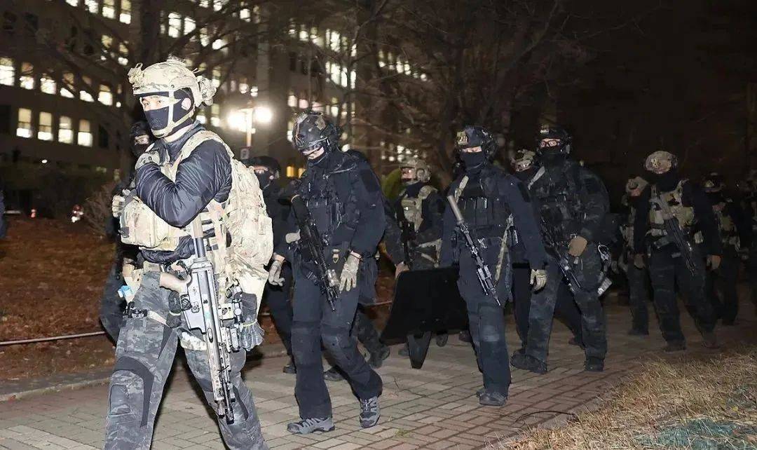 行动细节披露<strong></p>
<p>坐以待币</strong>！韩特种部队队长：我们被利用了