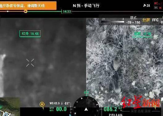 揭秘“野猪猎捕队”丨海拔3000米高山密林<strong></p>
<p>瑞郎币哪里购买</strong>，记者跟队直击猎捕野猪全过程