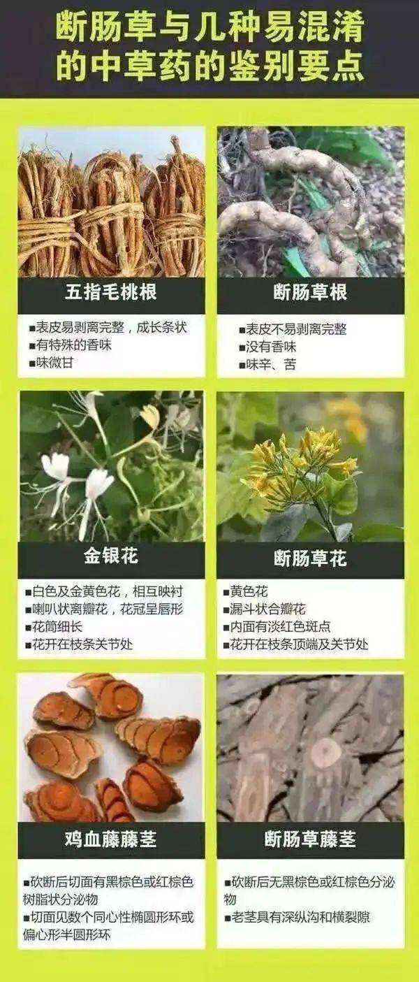 广东一老人买药材煲汤中毒身亡 当地：店铺误售断肠草<strong></p>
<p>币币交易技巧</strong>，老板被拘留