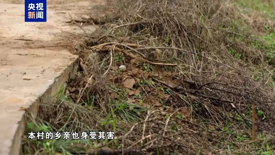 四川一干部受贿400余万元<strong></p>
<p>2018币圈</strong>，每次收钱都要“退还”几捆