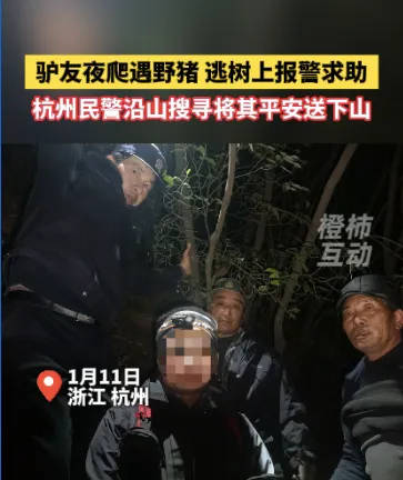 “我现在在树上<strong></p>
<p>币圈的玩法</strong>，野猪在下面……”杭州一男子深夜报警！