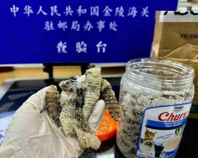 离谱!2.4斤生腌响尾蛇<strong></p>
<p>炒币赔光</strong>,被藏在零食罐里……