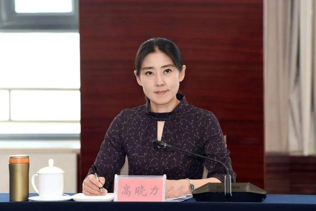 高晓力<strong></p>
<p>鹰币</strong>，晋升副部
