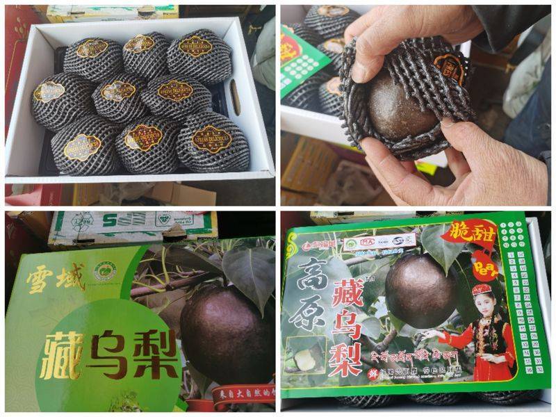 起底“藏乌梨”骗局:虚构的高原特产<strong></p>
<p>币圈割韭菜</strong>,普通梨高温加工而成