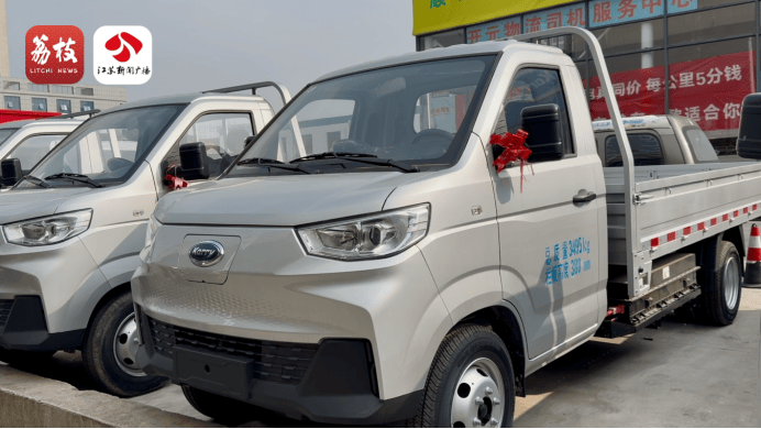 新能源车提车3天自燃烧成废铁<strong></p>
<p>欧元币</strong>，厂家：去起诉吧！