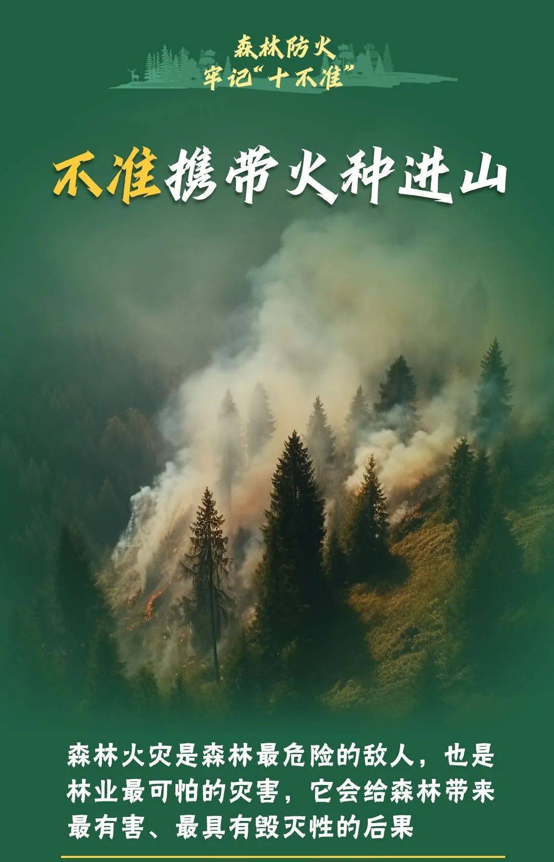 已致4名消防员遇难<strong></p>
<p>币掌柜</strong>！多地进入“灾难状态”