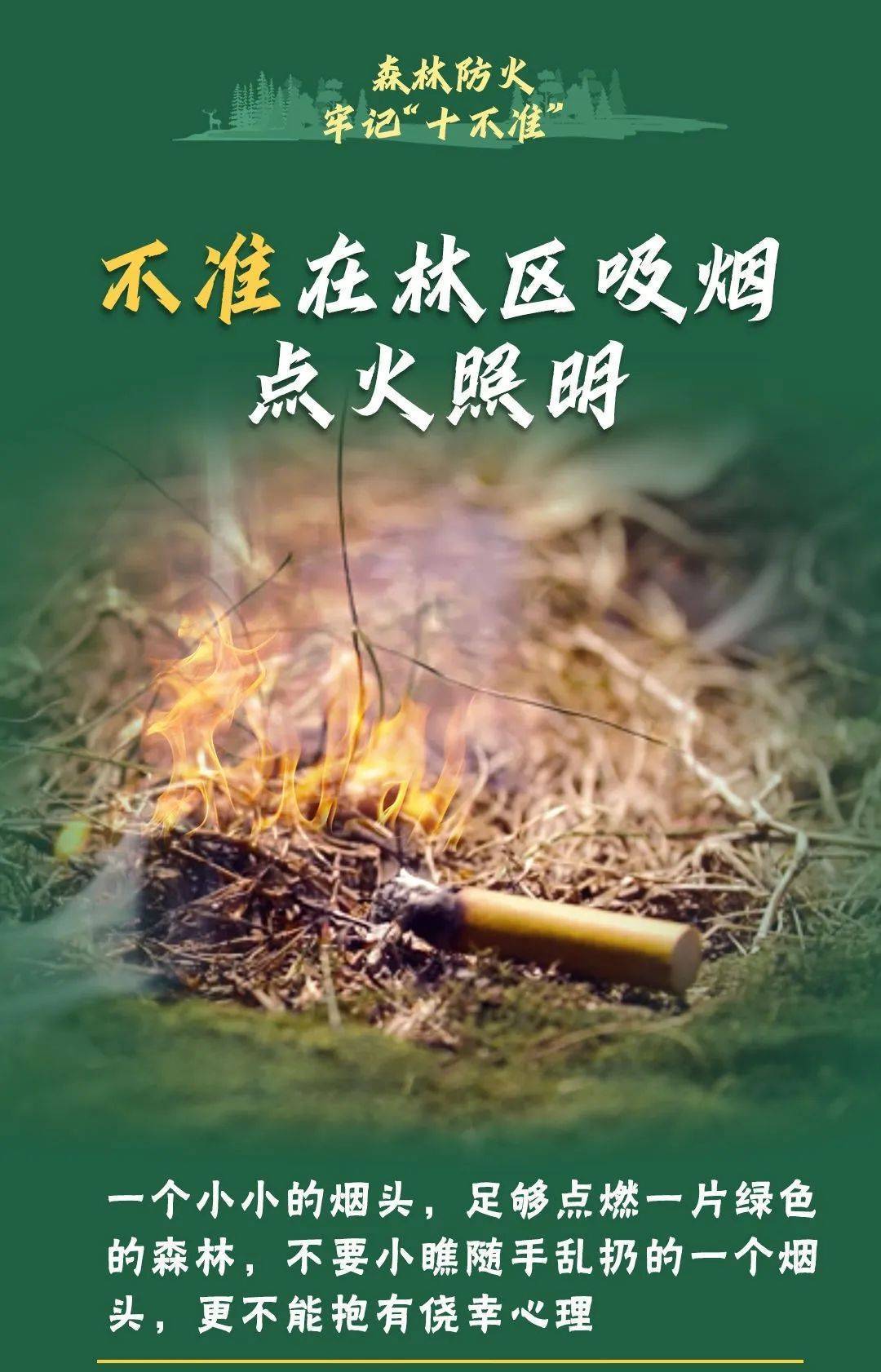 已致4名消防员遇难<strong></p>
<p>币掌柜</strong>！多地进入“灾难状态”