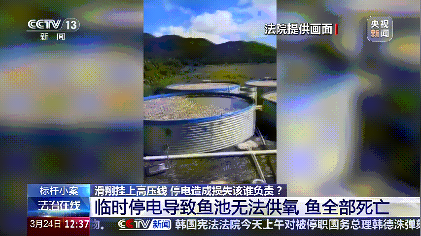 深圳女子被挂高压线！停电救援<strong></p>
<p>玫瑰币</strong>，9池鱼死光！他怒上法庭……