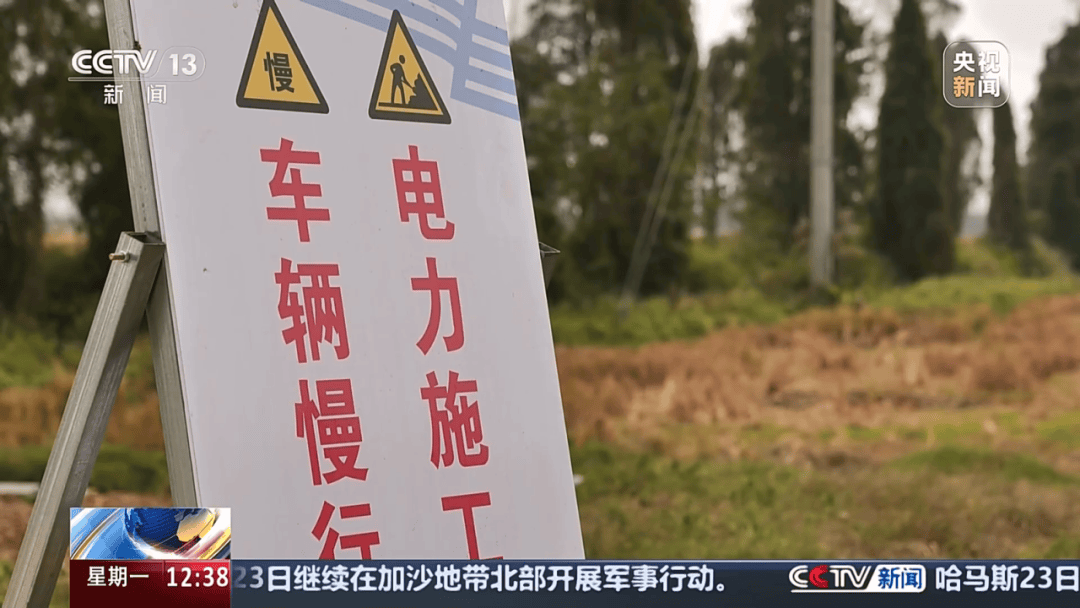 深圳女子被挂高压线！停电救援<strong></p>
<p>玫瑰币</strong>，9池鱼死光！他怒上法庭……