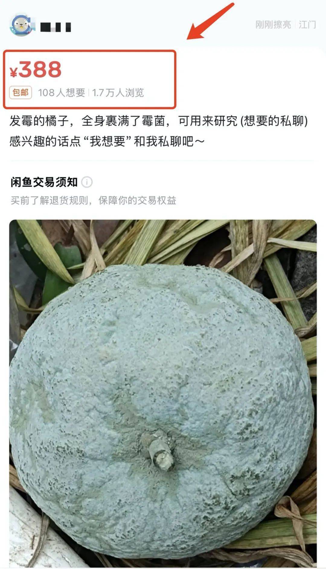 突然火了<strong></p>
<p>币乎行情</strong>！有人卖500元一个！网友：后悔扔了……