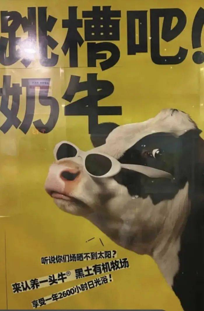 认养一头牛广告被质疑讽刺打工人<strong></p>
<p>全自动炒币软件</strong>，公司回应：致敬BOSS直聘
