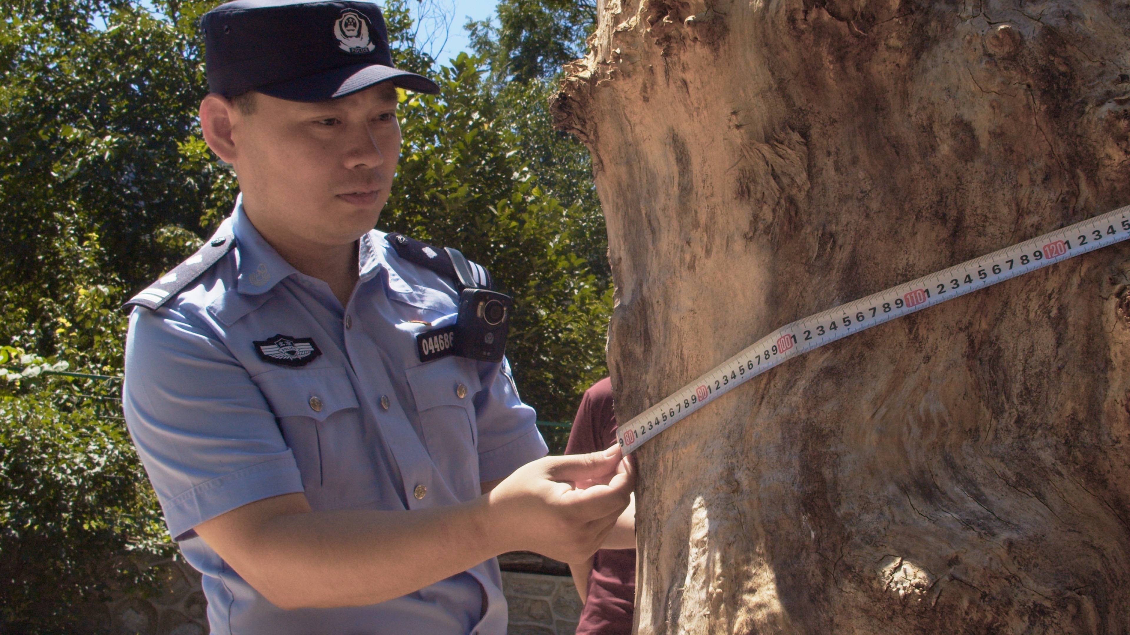 森林警察韩孟祺：乔装成驴友潜伏密林中<strong></p>
<p>大学生炒币</strong>，抓获“粘鸟”嫌疑人