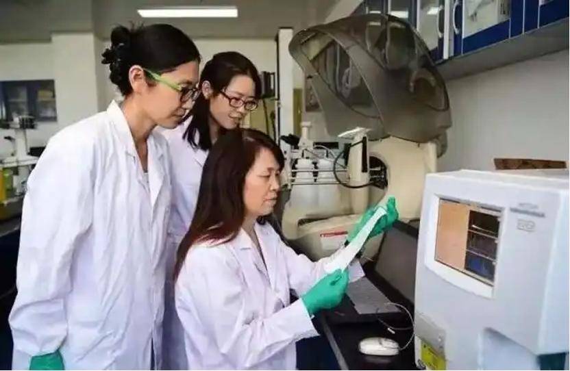 深挖 | “西北大学副校长范代娣成陕西首富”系乌龙<strong></p>
<p>老虎币充值</strong>，但她的人生如同开挂