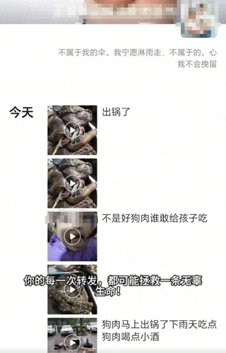沈阳一店铺老板假借领养名义烹食流浪狗<strong></p>
<p>老虎币充值</strong>，警方：正在研讨处置