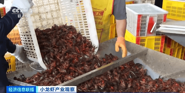 价格暴跌近50%<strong></p>
<p>德商币</strong>!“接下来还会降”!青岛正大量上市……