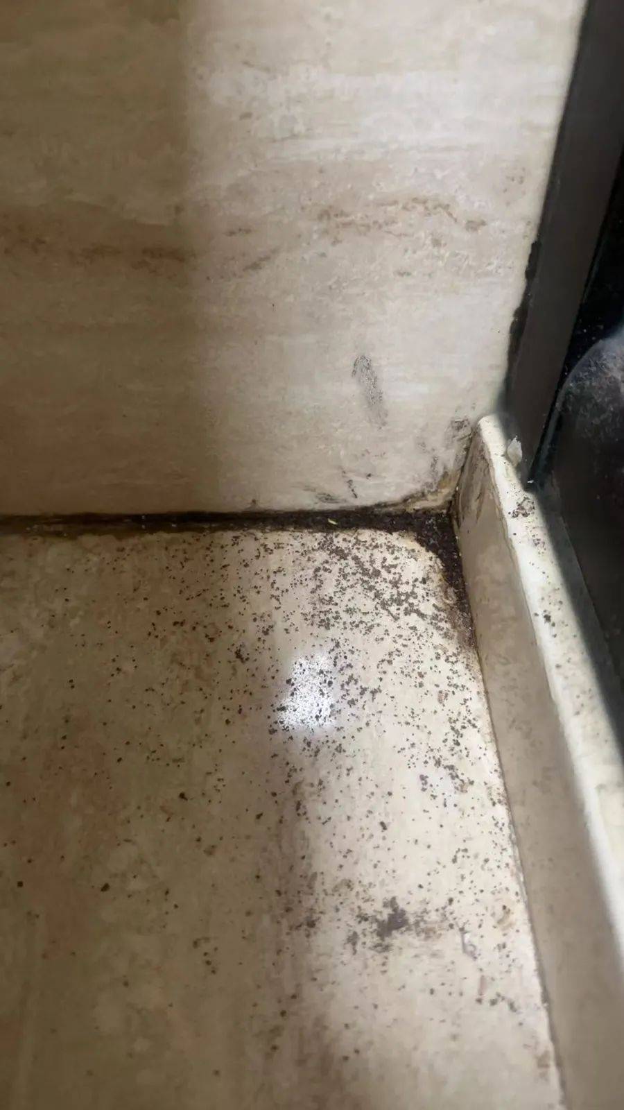 紧急提醒：瞬间爆发！上海市民崩溃：密密麻麻<strong></p>
<p>币圈财经</strong>，蠕蠕爬行...“梧桐区”已开始战斗，白蚁或提前分飞