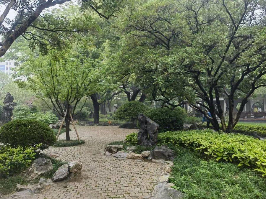 紧急提醒：瞬间爆发！上海市民崩溃：密密麻麻<strong></p>
<p>币圈财经</strong>，蠕蠕爬行...“梧桐区”已开始战斗，白蚁或提前分飞