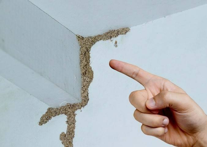 紧急提醒：瞬间爆发！上海市民崩溃：密密麻麻<strong></p>
<p>币圈财经</strong>，蠕蠕爬行...“梧桐区”已开始战斗，白蚁或提前分飞