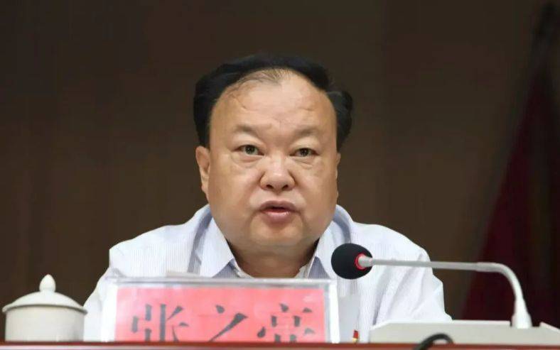 中央提级巡视期间<strong></p>
<p>炒币在哪里炒呢</strong>，已降级、退休的张之亮，官宣落马！