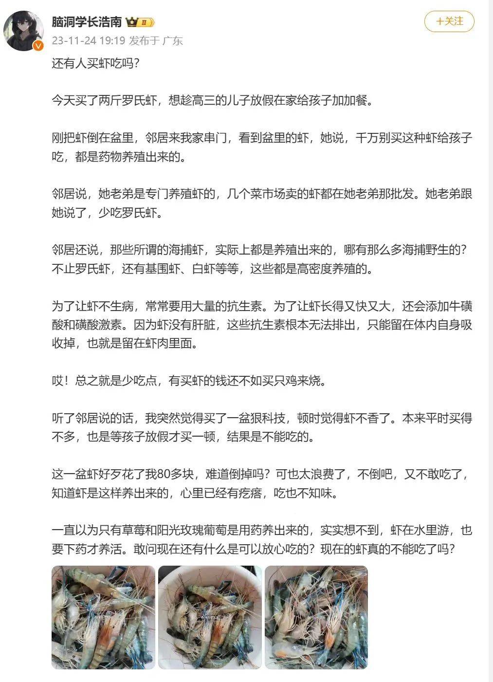 养殖虾都是吃抗生素、激素长大的<strong></p>
<p>红币网</strong>，真的不建议吃？