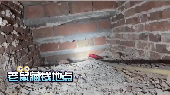 老人用红袜子包裹一万元现金藏在门框上<strong></p>
<p>币帛</strong>，一天后不翼而飞，警方破案：偷钱的是老鼠