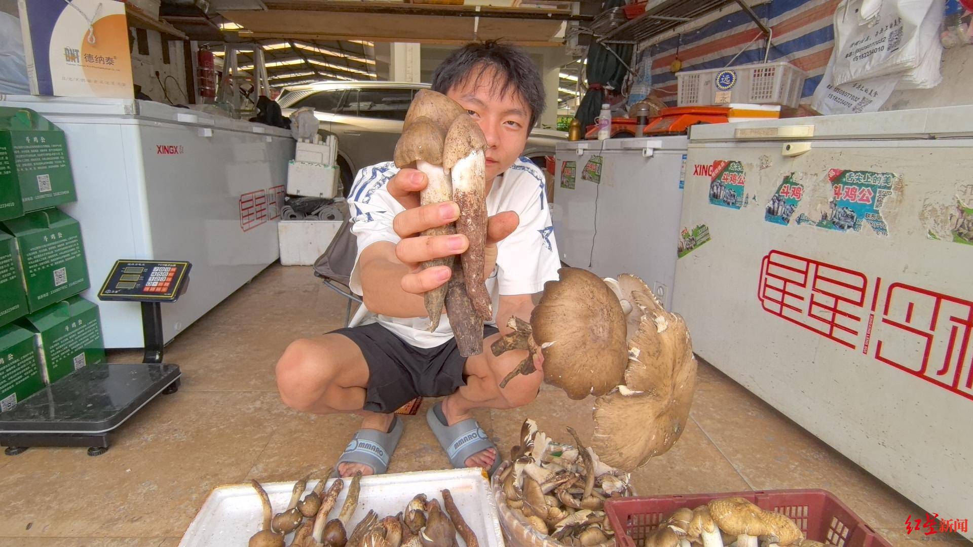“天价”鸡枞调查：最贵卖到1800元/公斤！雨水少致产量低<strong></p>
<p>飞猪</strong>，多地价高客少